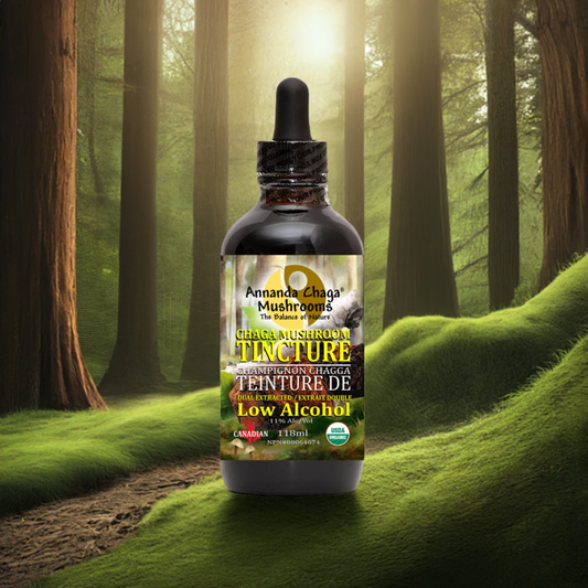 Organic Chaga Tincture