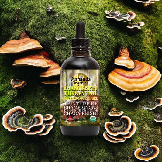 Organic Triple Mushroom Tincture