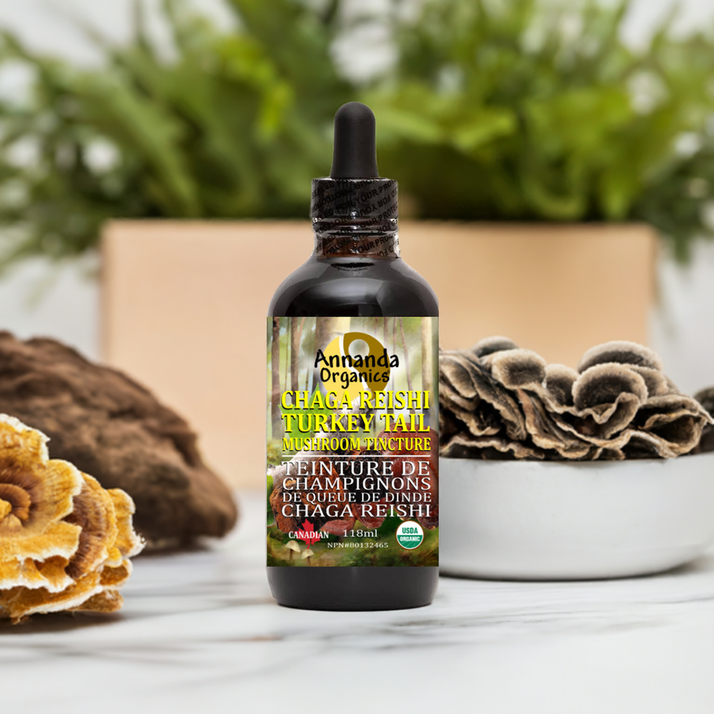 Organic Triple Mushroom Tincture
