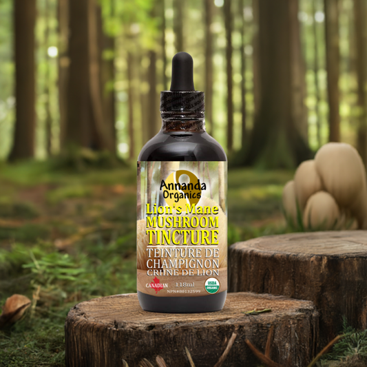 Organic Lion's Mane Tincture