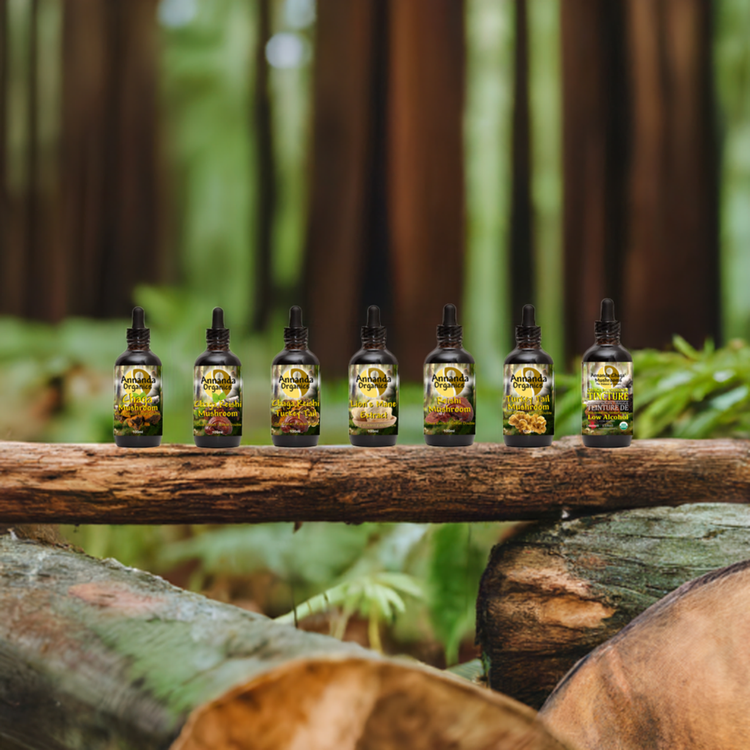 Organic Mushroom Tinctures