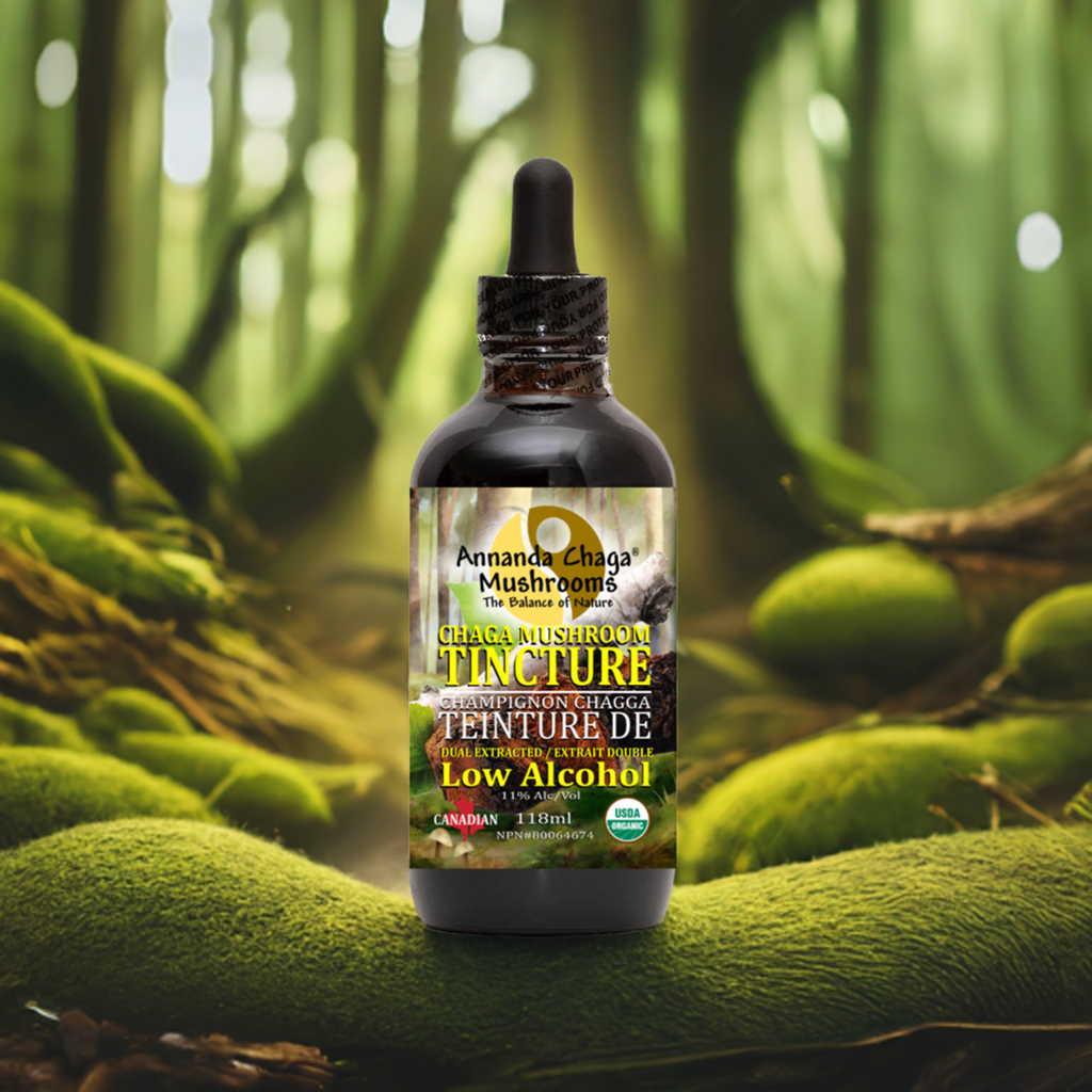 Organic Chaga Tincture
