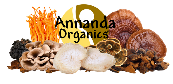 Annanda Organic Mushrooms - Shop Canadian Organic Mushrooms.  Chaga, Reishi, Lion's mane, cordyceps, maitake, shiitake, turkey tail and more.