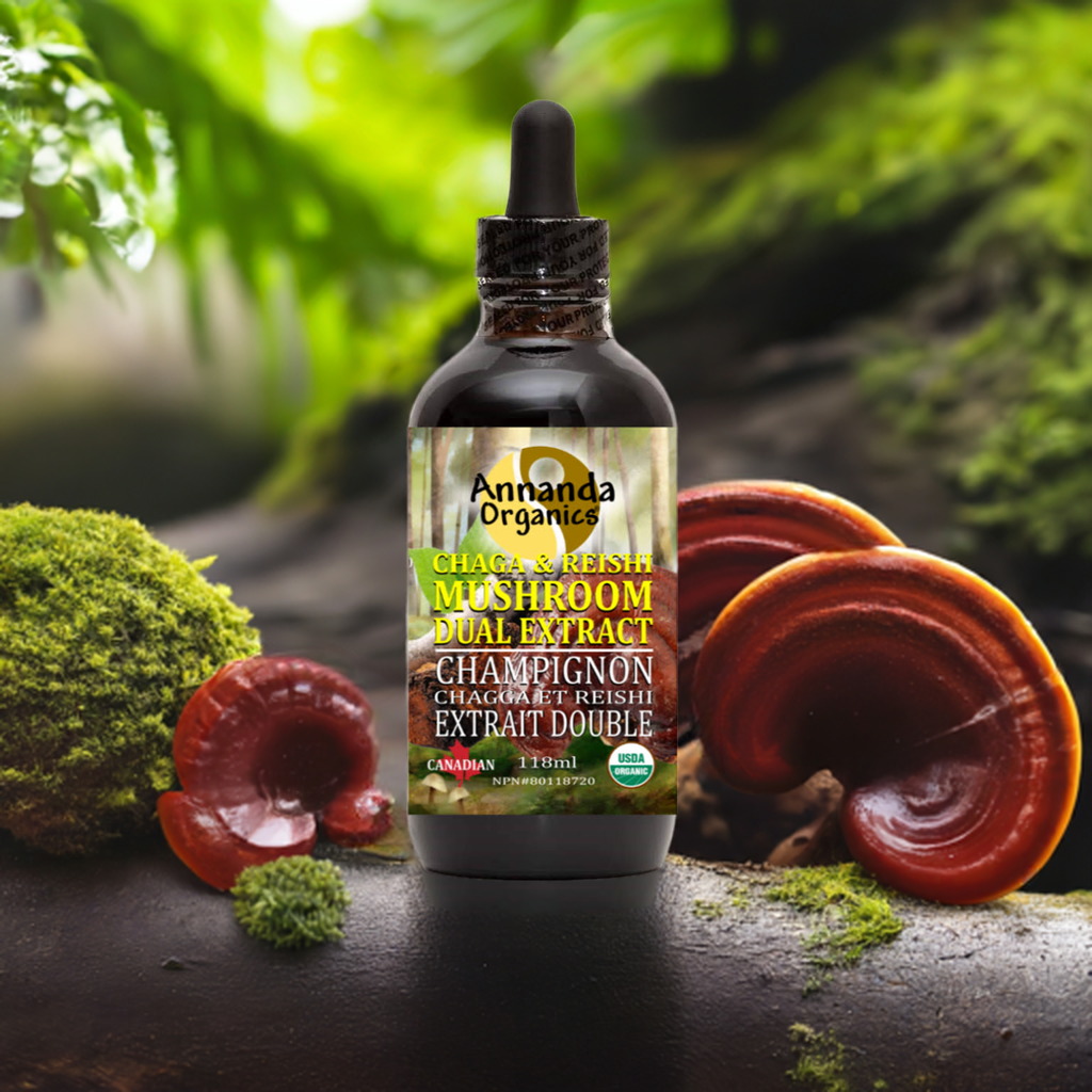 Organic Chaga and Reishi Extract