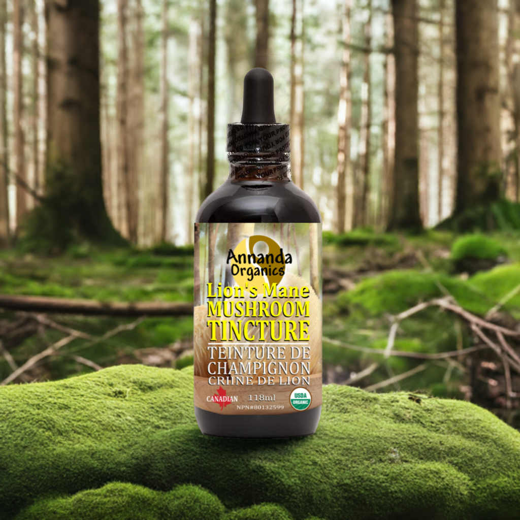 Organic Lion's Mane Tincture
