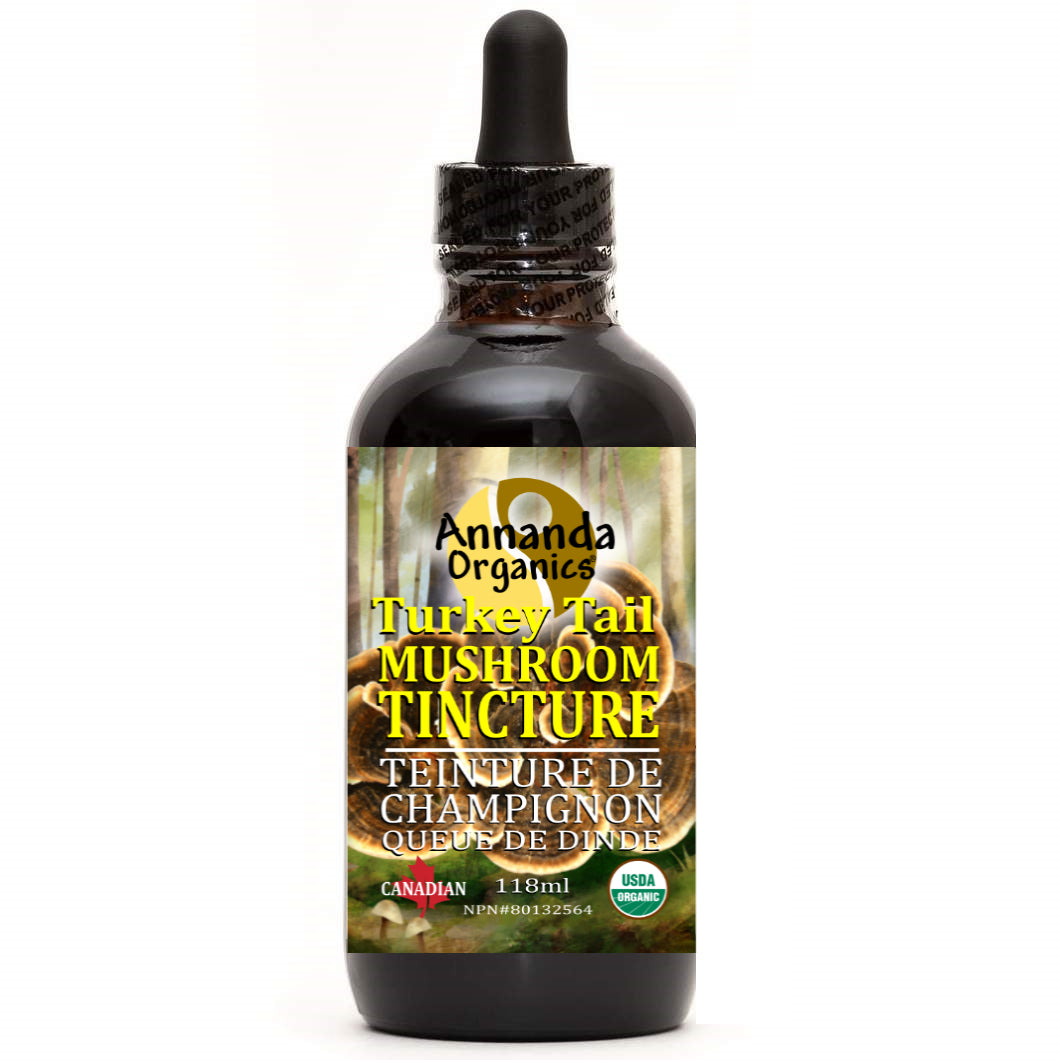Organic Turkey Tail Tincture
