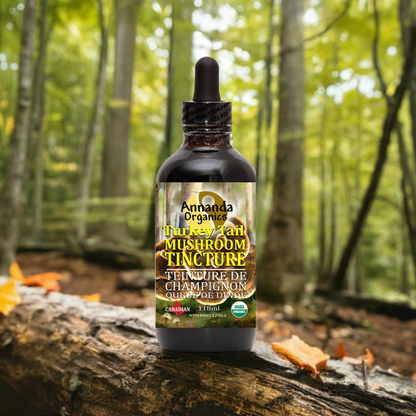 Organic Turkey Tail Tincture