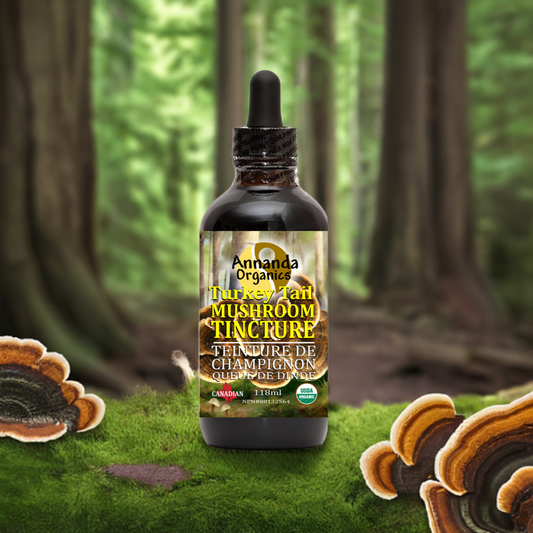 Organic Turkey Tail Tincture