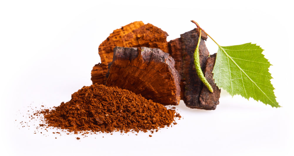 Organic Chaga Powder