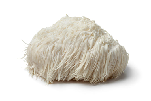Organic Lion's Mane Powder