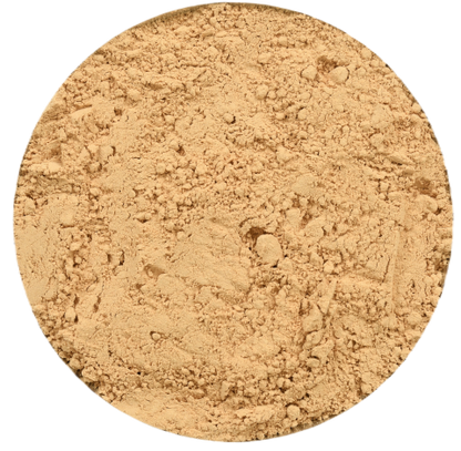 Organic Lion's Mane Powder
