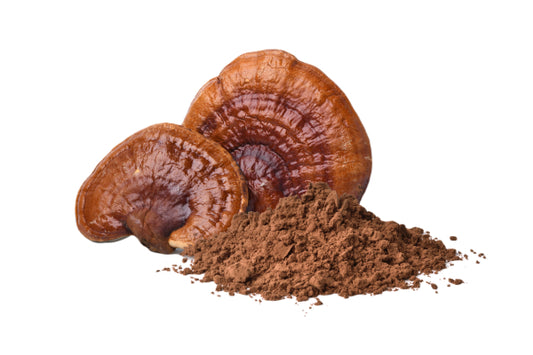 Organic Reishi Powder
